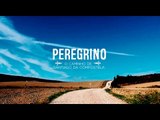 Peregrino - O Caminho de Santiago de Compostela