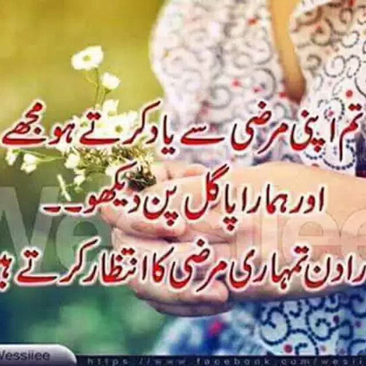 narang mandi