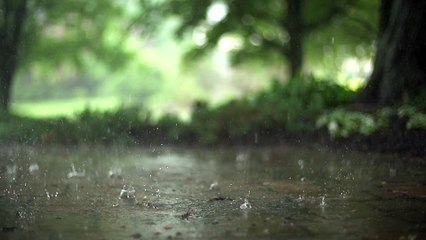 Raindrops in Super Slow Motion