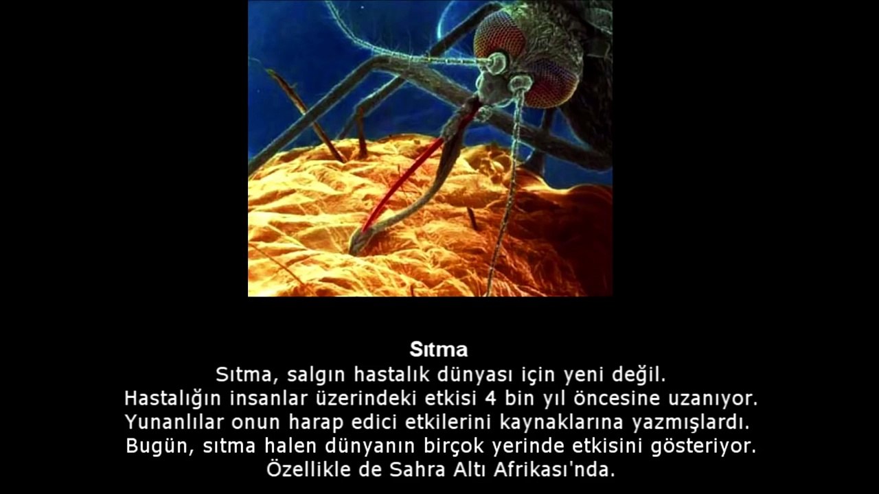 EN ÇOK İNSAN ÖLDÜRMÜŞ 10 KORKUNÇ HASTALIK