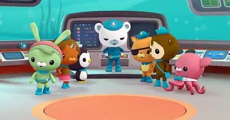 Octonauts Creature Report The Dwarf Lanternshark