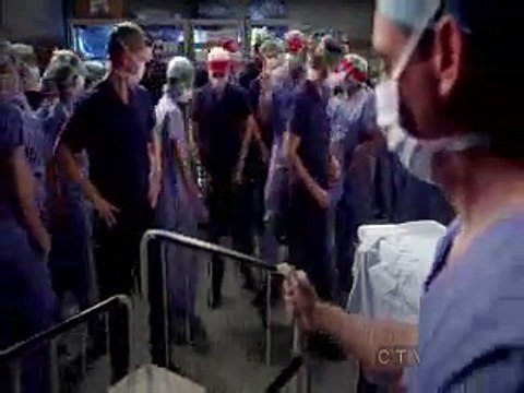 greys anatomy saison 8