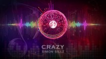 Simon Sillz - Crazy | Hip Hop Beats For Sale Online | Exclusive July 2016