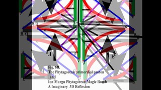 An Evasive and Orientative Image for Fundamental Proton and ,, in 2 Dimmension