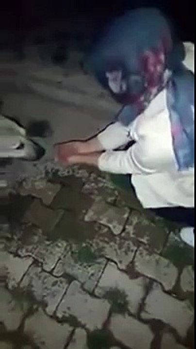 Dog thanks a girl after she helped him to drink water by her hands!