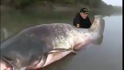 The EXACT REASON I dont swim in water I cant see my feet in!!!