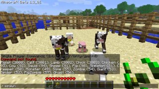 Episode 27: Minecraft - Baby animals