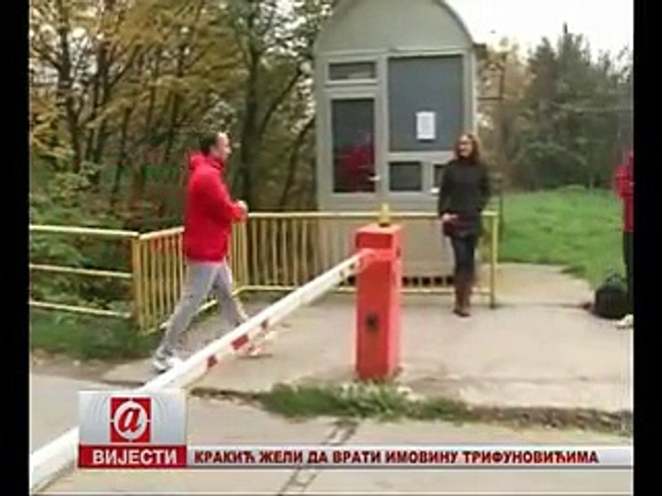 STRANKE KOD IRINEJA