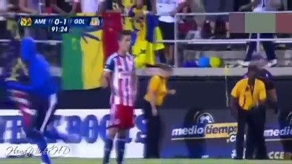 Top Funny Craziest Pitch Invaders Ever