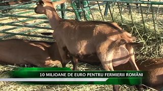 10 MILIOANE DE EURO PENTRU FERMIERII ROMANI