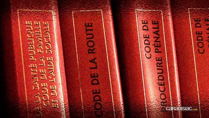 Loi - Assurance : accusé d'une fausse déclaration, que faire ?