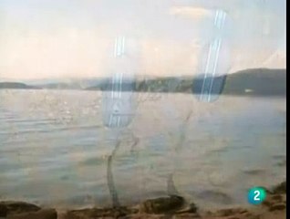 En lengua de signos - 10 09 11 Inauguración Pub Signos.flv