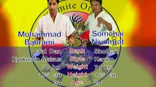 2008 World Kumite Organization Championships Middleweight  Fight 20