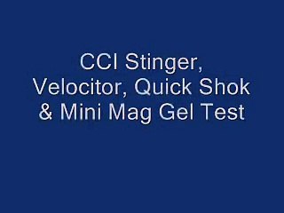 Ballistics Gel test .22 CCI Ammo