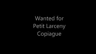 Wanted for Petit Larceny Copiague 15-709172