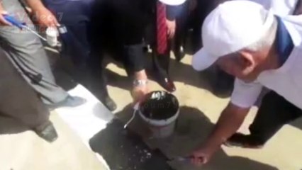 بالفيديو.. محافظ كفر الشيخ يطلى الأرصفة فى حملة حلوة يا بلدى