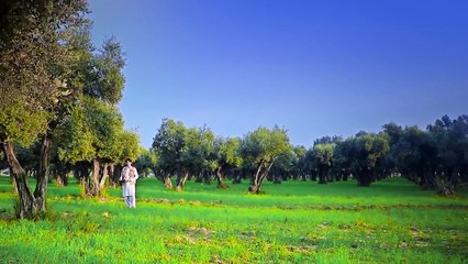 New Pashto Song Shaista Mo Karai Da Zwand By Naveed Muhabbat  OFFICIAL VIDEO HD