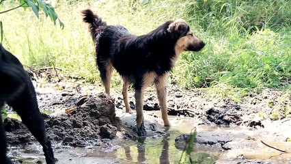 Северка. Июль 2016