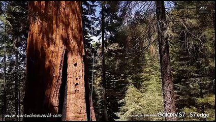 video captured on Samsung Galaxy S7 and S7 edge