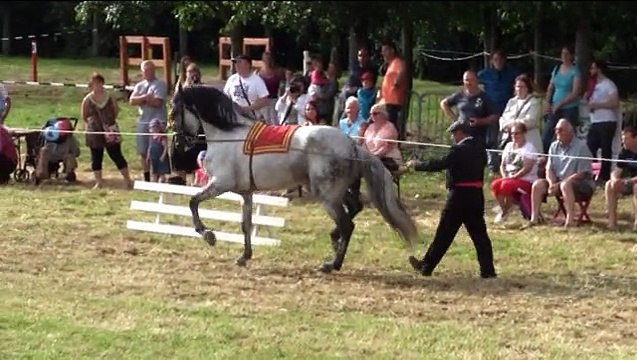 Lespes TV: Boulzicourt 2016