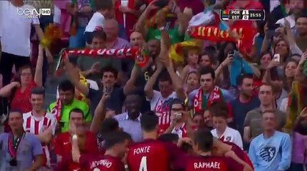 Euro 2016 - Portugal VS Estonie  7-0. all amazing GOALS.