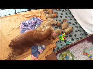 26.05. moment tendresse