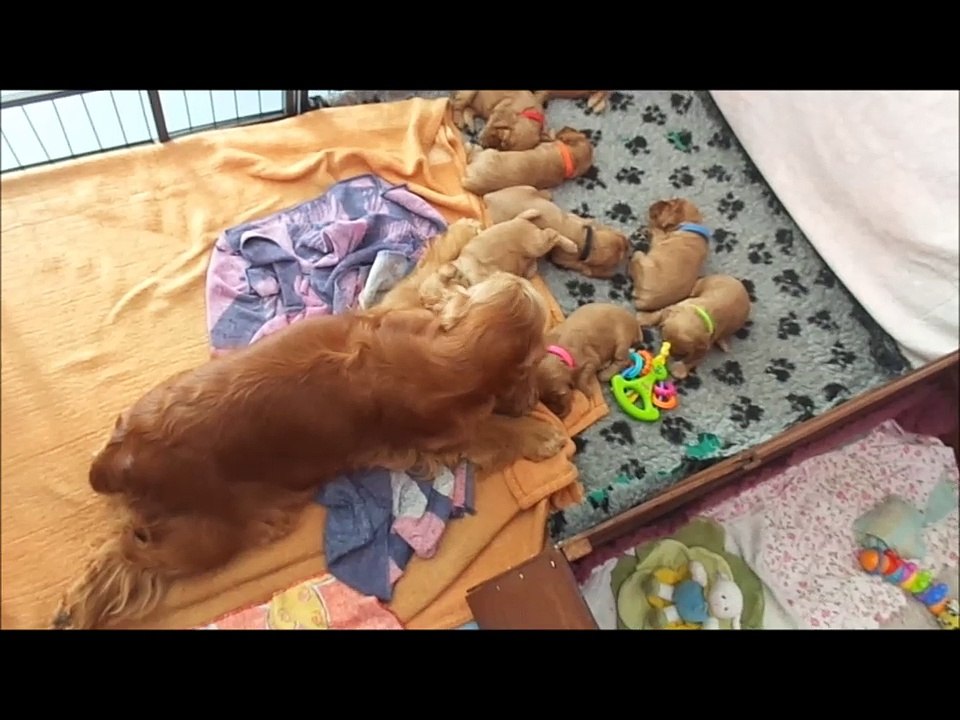 26.05. moment tendresse