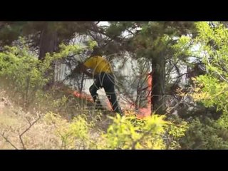 Temperaturat e larta, rrezik nga zjarret