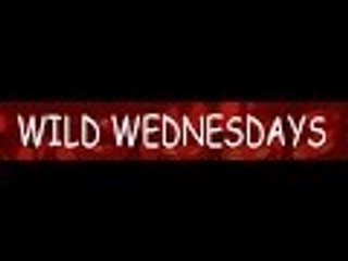 #WildWednesday : Fear Of Giving Oral