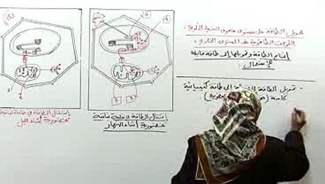 انتاج طاقة وتحويلها إلى طاقة قابلة للإستعمال 1