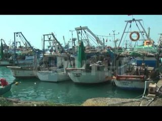 MISTERI I ANIJES "CELEPIA 2"