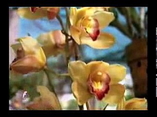 THẬP THIỆN NGHIỆP (3) ĐĐ. THÍCH GIÁC THIỆN Giảng