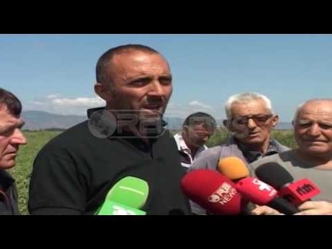 Ora News - Breshëri shkatërron të mbjellat e rreth 1500 fermerëve në Pojan