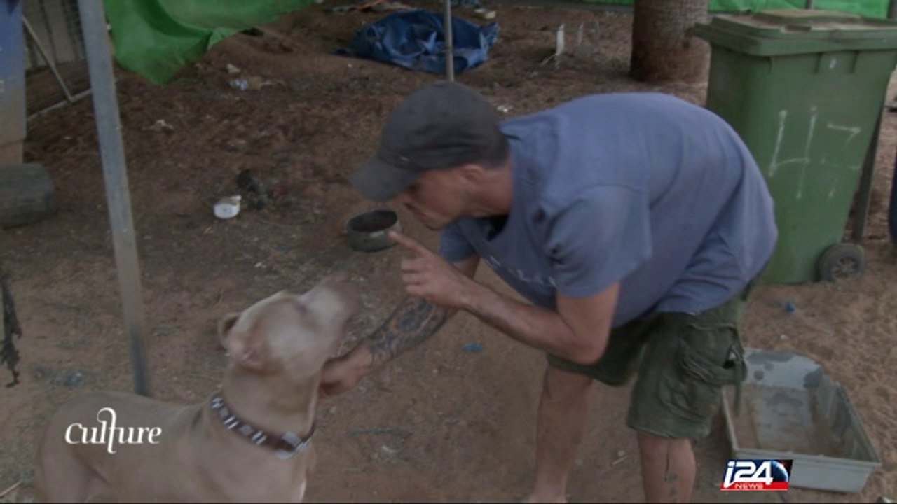 Ext. Les combats de Pitbulls à la frontière Israélo-palestinienne portés à l’écran