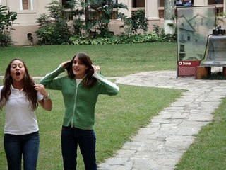 Como conquistar um gatinho em 24 horas !