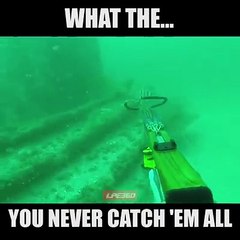 13745548_272678356428981_1511844384_n