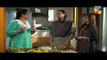 Udaari Episode 15 on Hum Tv in High Quality 17th July 2016
