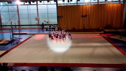 Groupe Niveau 8 : Famille Bélier