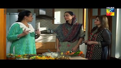 Udaari Episode 15 Full in HD Hum Tv 17th July 2016