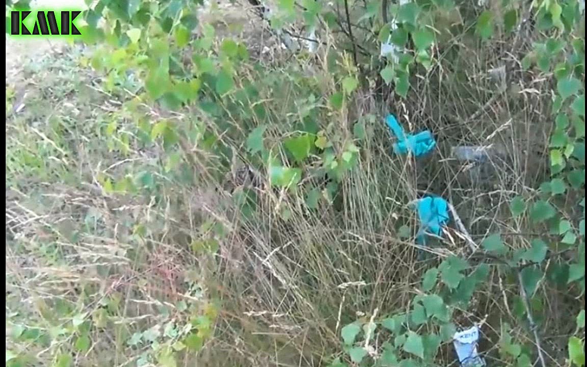 Пять человек утонули в водоеме под Тулой