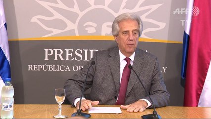 Uruguay anuncia inversión millonaria en nueva planta de celulosa