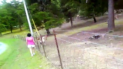 Day 3 Of Our Vacation To Bear Creek Country Part 2