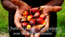 les dangers de l'huile de palme, avec laurene baldassara, sur pyrenees fm