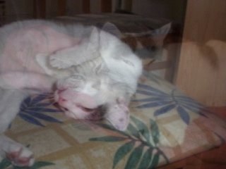 video montage notre monde a nous