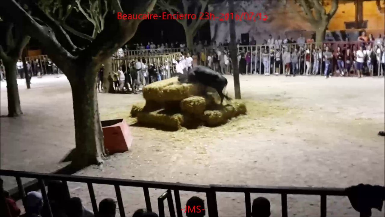 Beaucaire-Encierro-23h-2016-07-13-Manade Labourayre