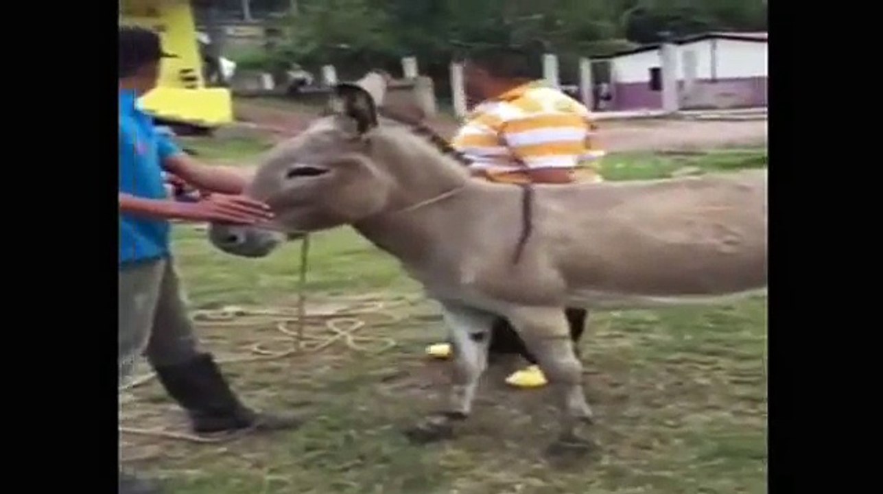 مقالب كوميديه مضحكة مقطع فيديو مضحك جدا