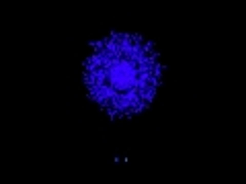 Pegboard Nerds Disconnected voz rapida