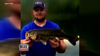 Un pécheur sauve deux chatons qui nageaient dans une rivière