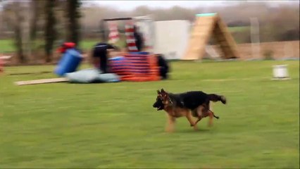 Trou du cul  qui bat son chien !!!