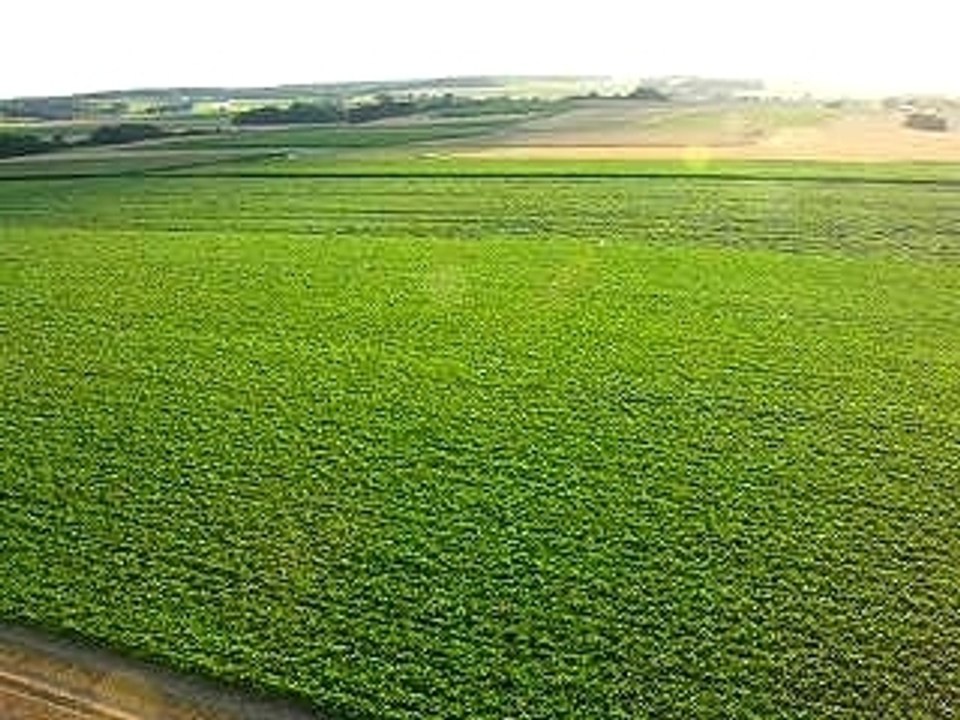 18 juillet 2007 - baptême paramoteur - descente champ